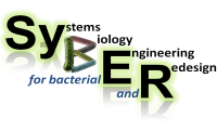 SyBER_Logo-SiteWeb