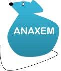 logo ANAXEM bleu